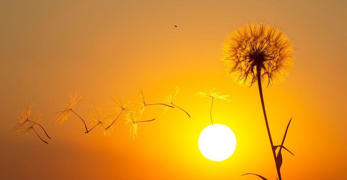 Environmental Factors